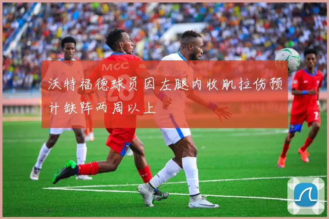 沃特福德球员因左腿内收肌拉伤预计缺阵两周以上