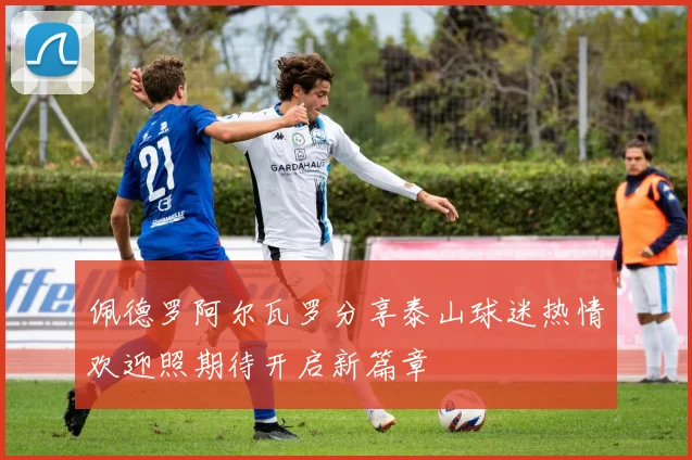 佩德罗阿尔瓦罗分享泰山球迷热情欢迎照期待开启新篇章